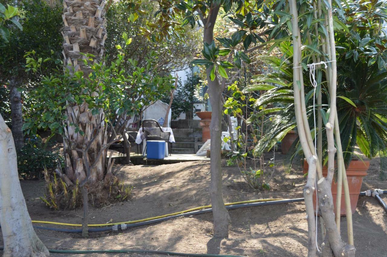 B&B Il Giardino Segreto Stromboli Dış mekan fotoğraf