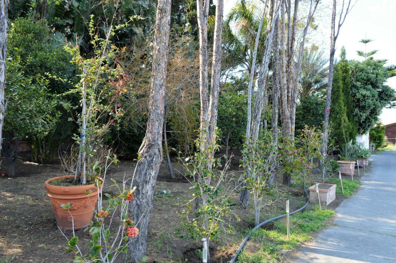 B&B Il Giardino Segreto Stromboli Dış mekan fotoğraf